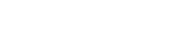 DeepSeek
